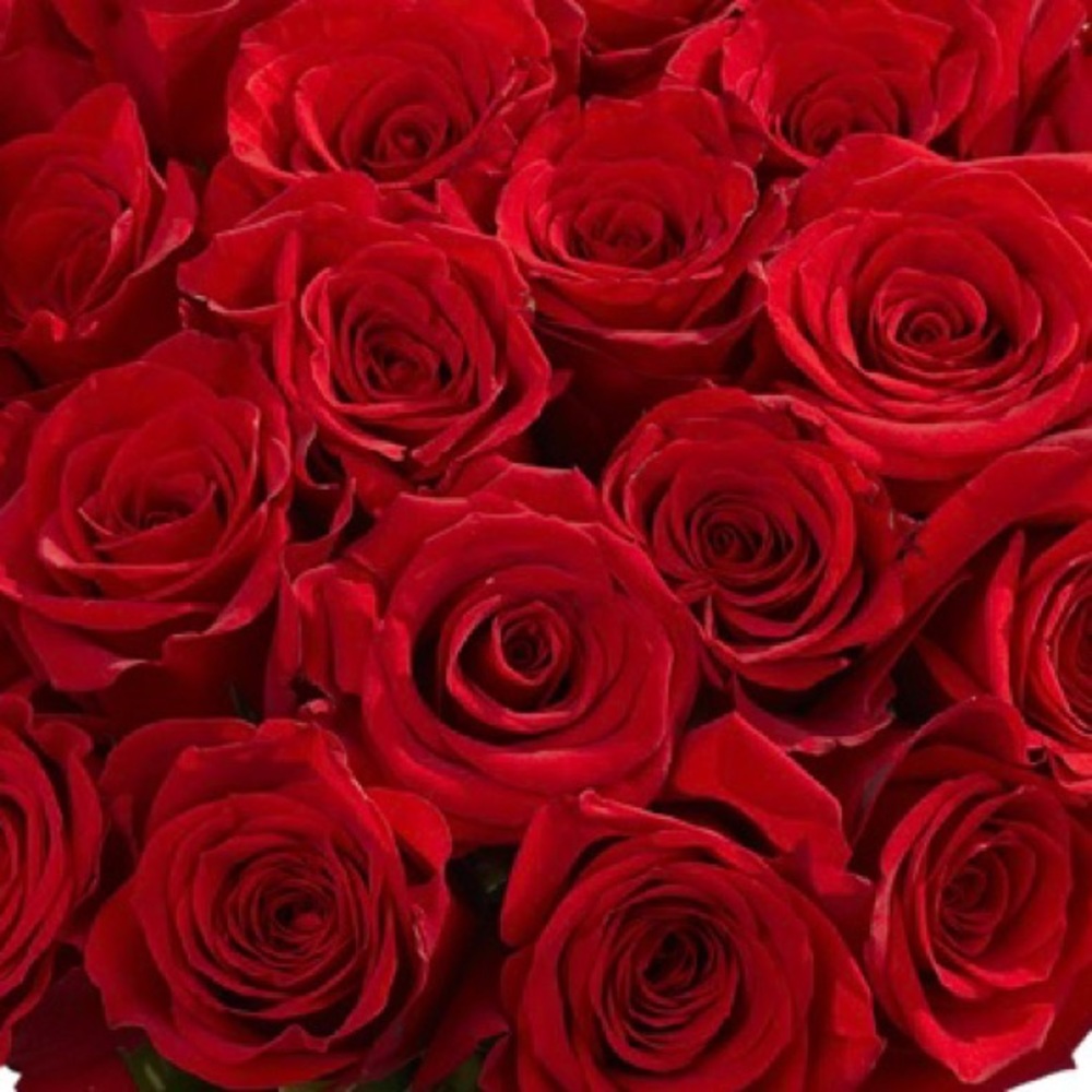 Meet your Posher, Marlen